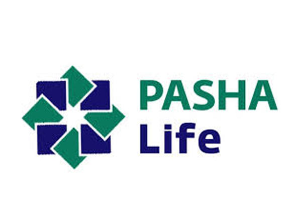 Pasha Life